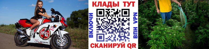 Наркота Калуга Гашиш Марихуана Alpha-PVP АМФ OMG маркетплейс Меф