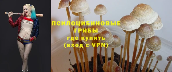 ГАЛЛЮЦИНОГЕННЫЕ ГРИБЫ Михайловск