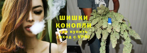 ГАЛЛЮЦИНОГЕННЫЕ ГРИБЫ Михайловск