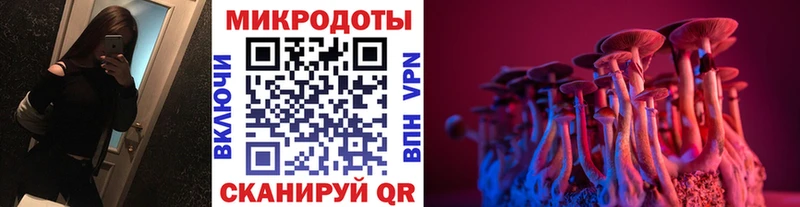Псилоцибиновые грибы Psilocybe Калуга