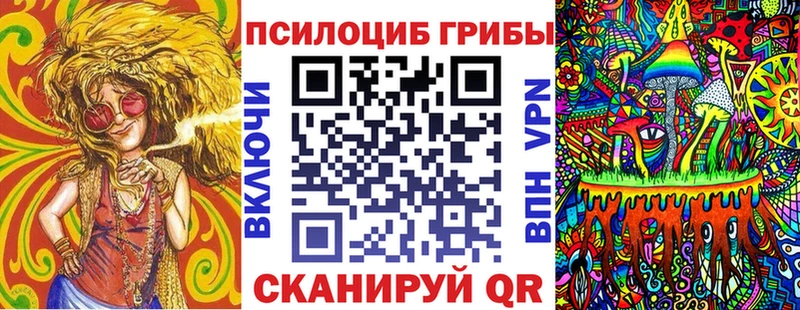 Галлюциногенные грибы Psilocybe  Калуга 