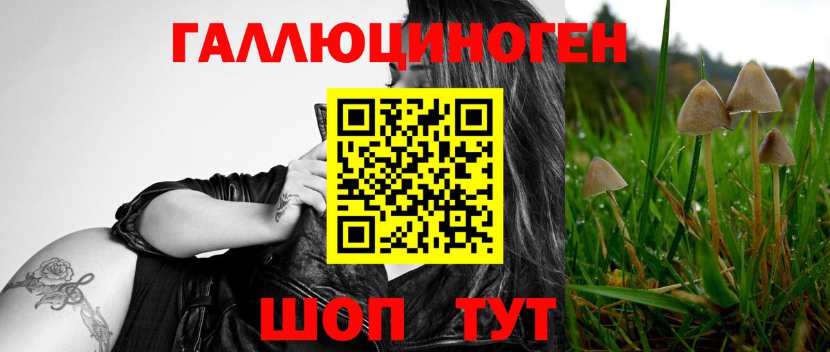Псилоцибиновые грибы прущие грибы  Вход с VPN  Калуга 