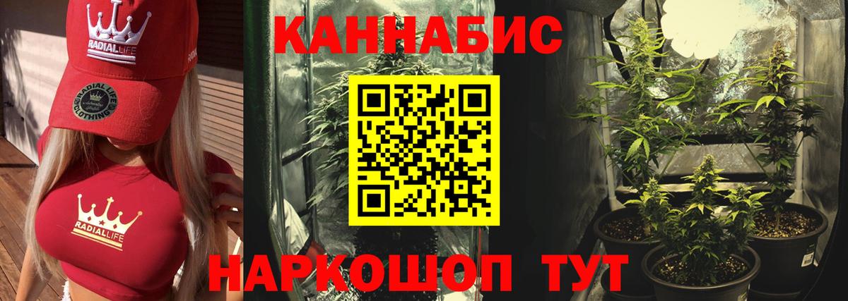 Калуга  Бошки Шишки SATIVA & INDICA  МАРИХУАНА марихуана  Вход с VPN  Канабис конопля 